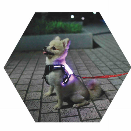 Bright Visibility LED Safety Flashing Dog Harness Lights