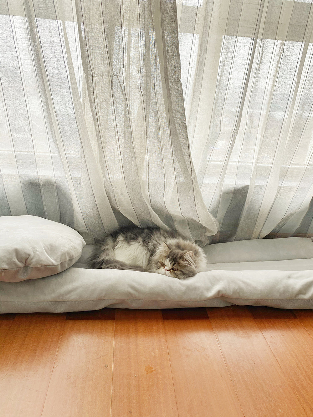 Cylindrical Dog House