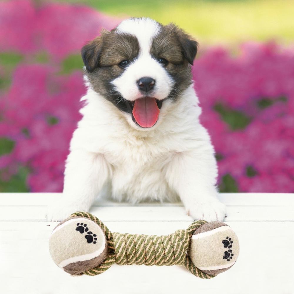 Rope Knot Ball Dog Toy