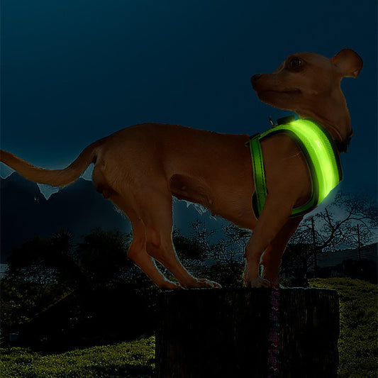 USB Charging  LED Illuminated Reflective Dog Vest