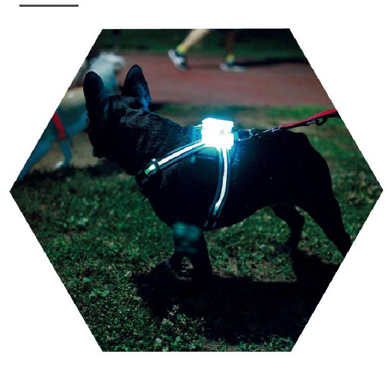 Bright Visibility LED Safety Flashing Dog Harness Lights