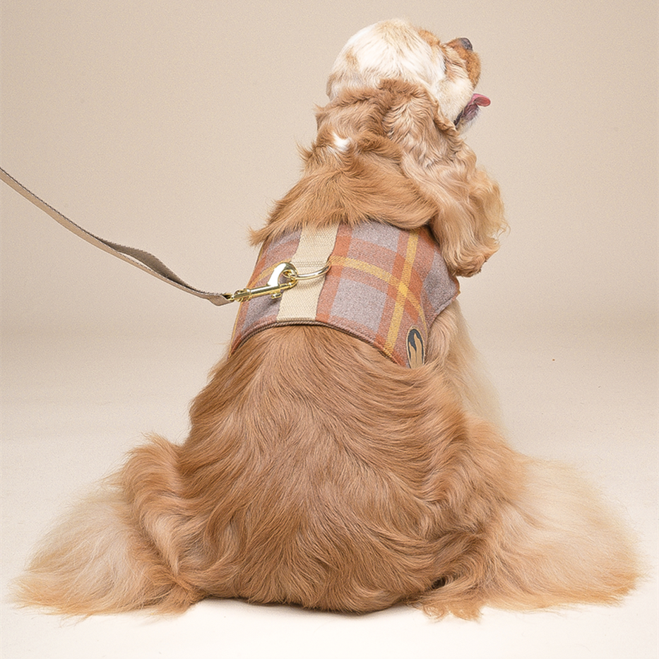 Small Vest Dog Harness