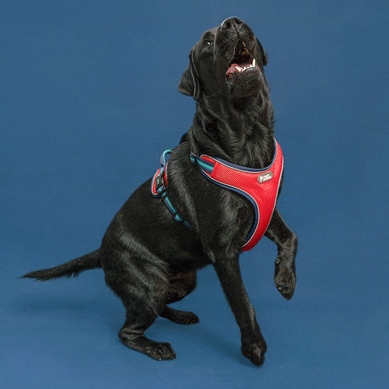 Double-Sided Breathable Chest Strap Dog Harness