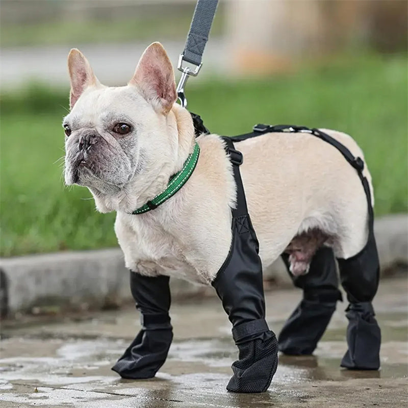 Waterproof Adjustable Dog Boots Paw Protector