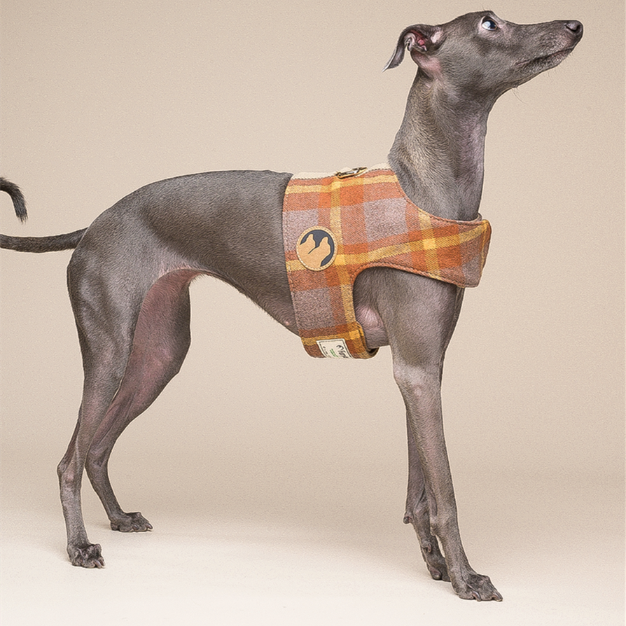 Small Vest Dog Harness