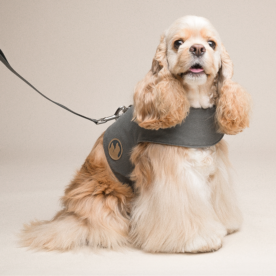 Small Vest Dog Harness