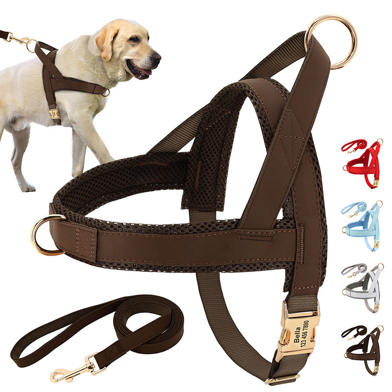 Large Lettering Dog Vest Chest Harness & Leash