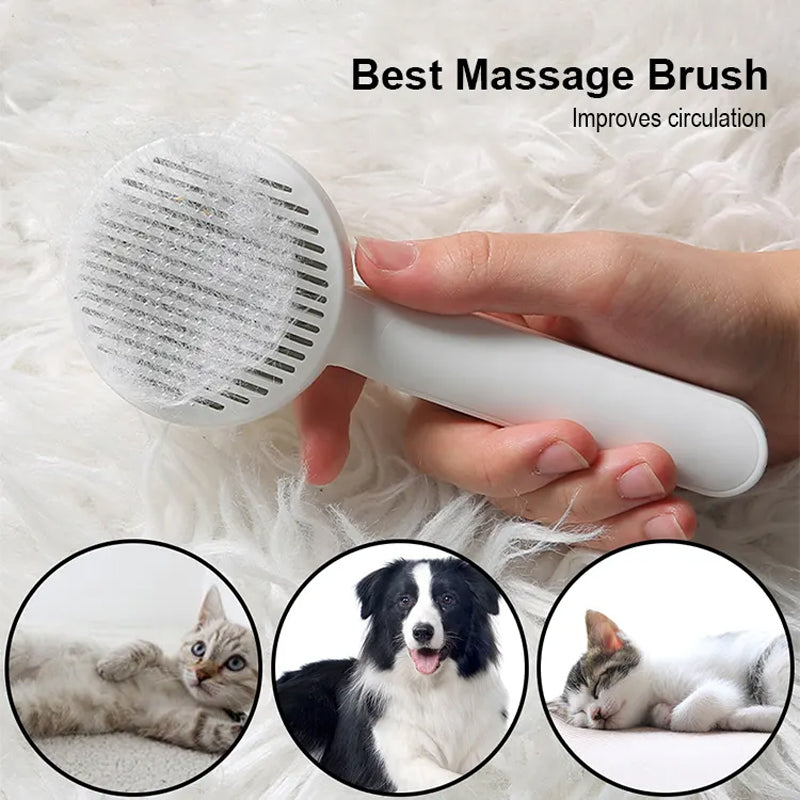 Self Cleaning Grooming Brush