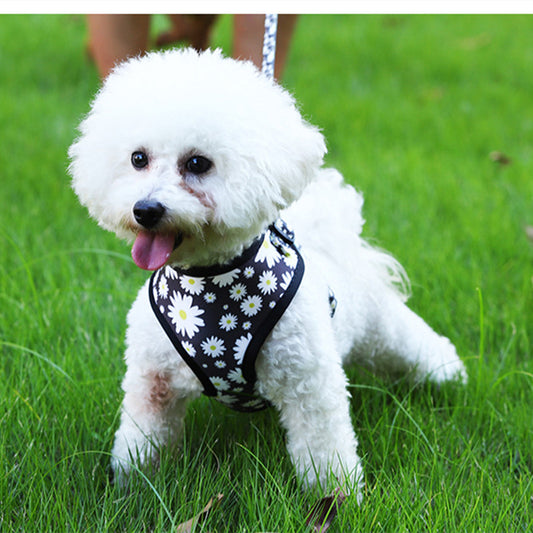 Pet Breathable Dog Harness Leash Set