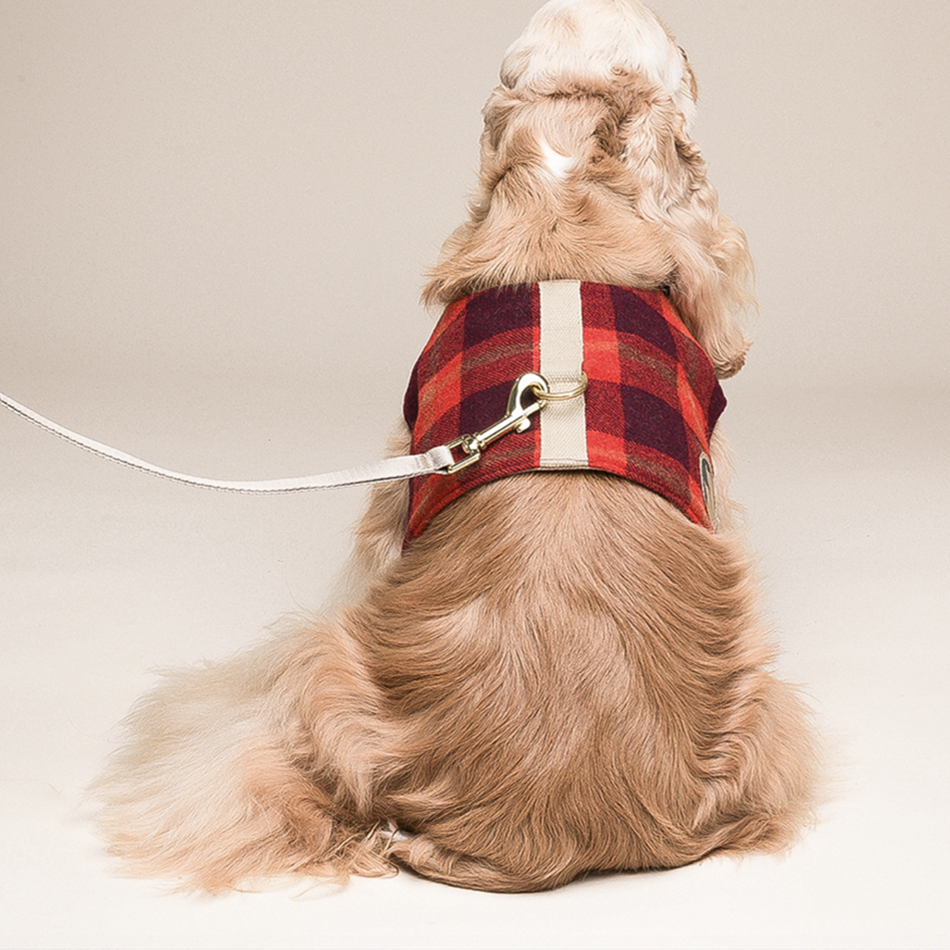 Small Vest Dog Harness