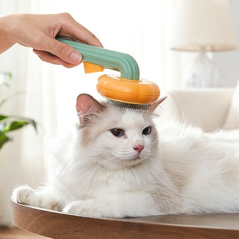 Pumpkin Pet Grooming Self Cleaning Slicker Brush